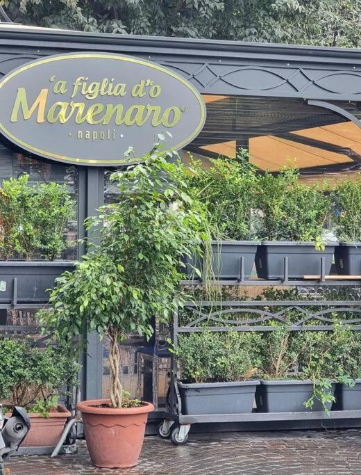 Casa Comoda E Centrale In Quartiere Storico Di Napoli Eksteriør billede